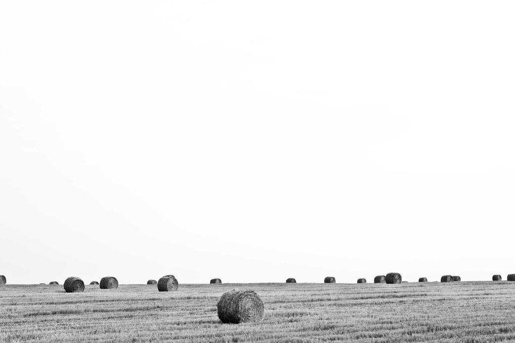 Tempore cumque sit tenetur ipsum nesciunt